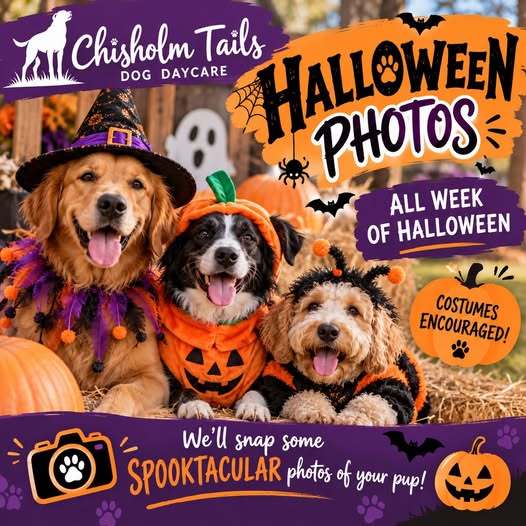 HOWL-O-WEEN Photos at Chisholm Tails Dog Daycare