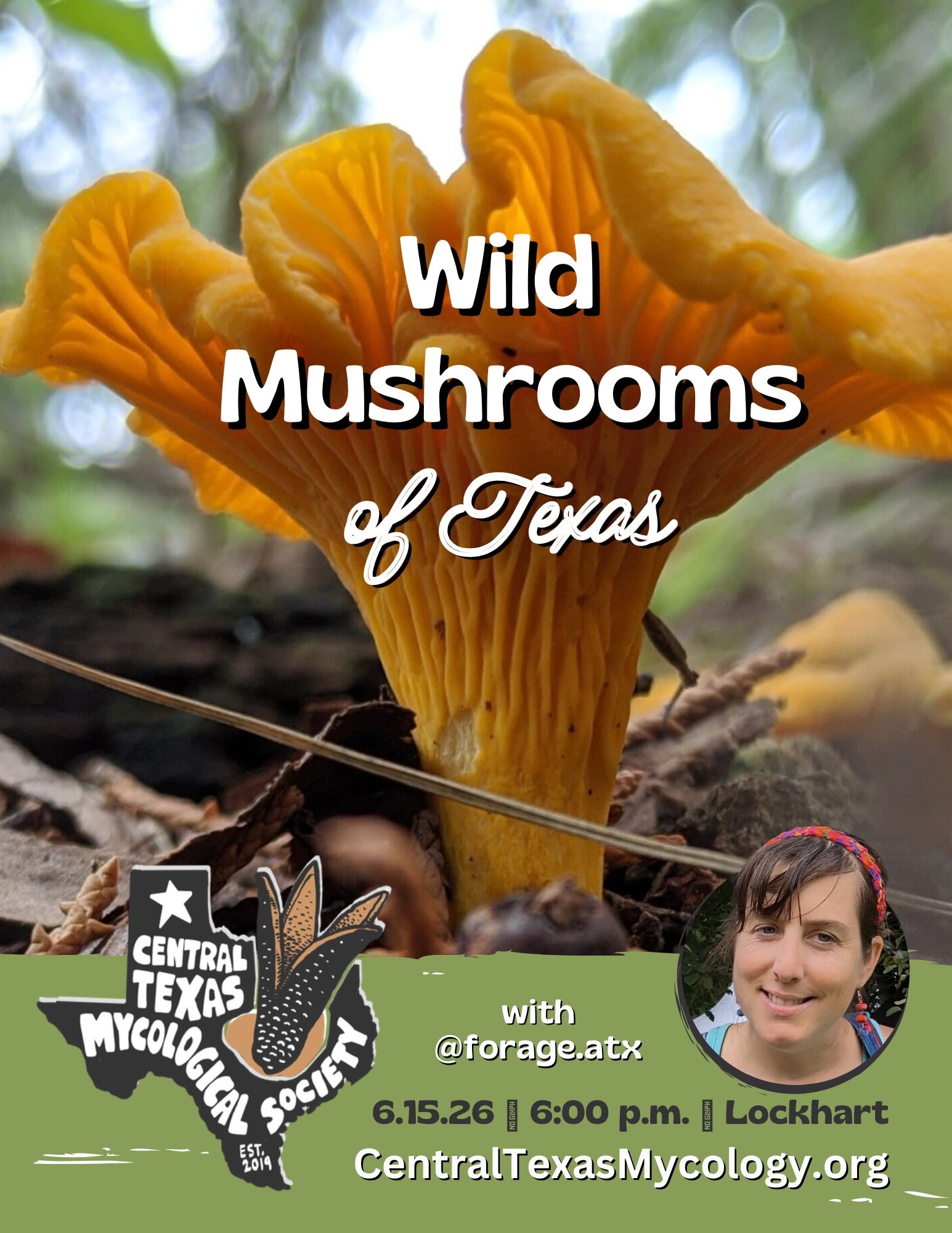 Wild Mushroom of Texas