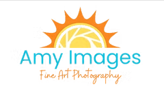 Amy Images