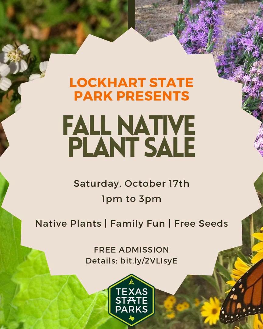 Fall Native Plant Sale