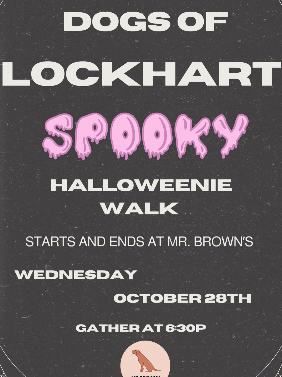 Dogs of Lockhart Spooky Halloweenie Walk