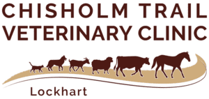 Chisholm Trail Vet Clinic Lockhart
